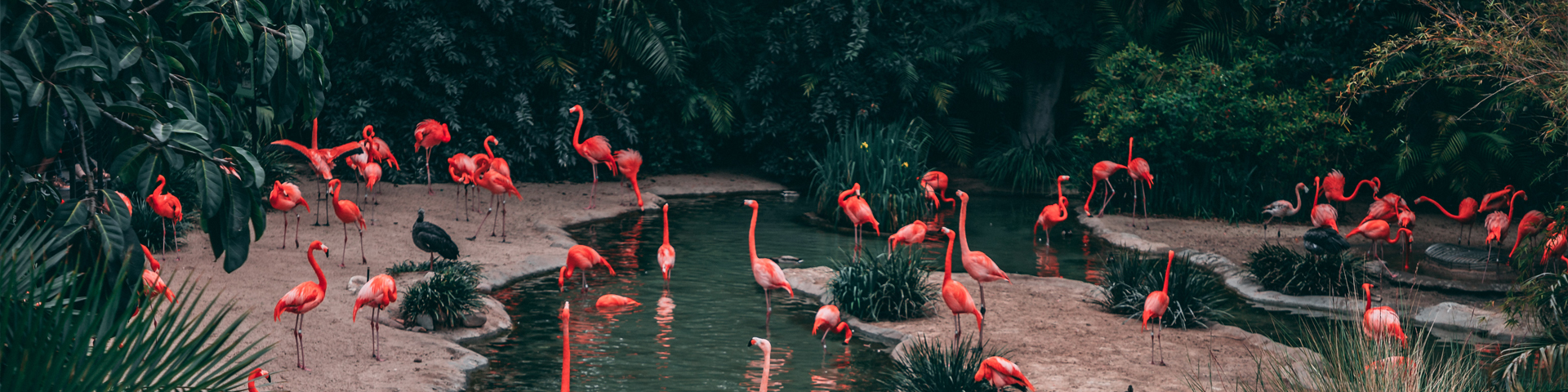 广西南邦国际旅行社有限公司驻马店第一网点